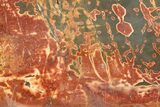 Polished Cherry Creek Jasper - China #318964-1